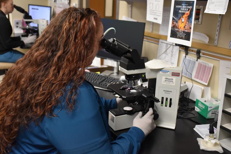 medical lab scientist