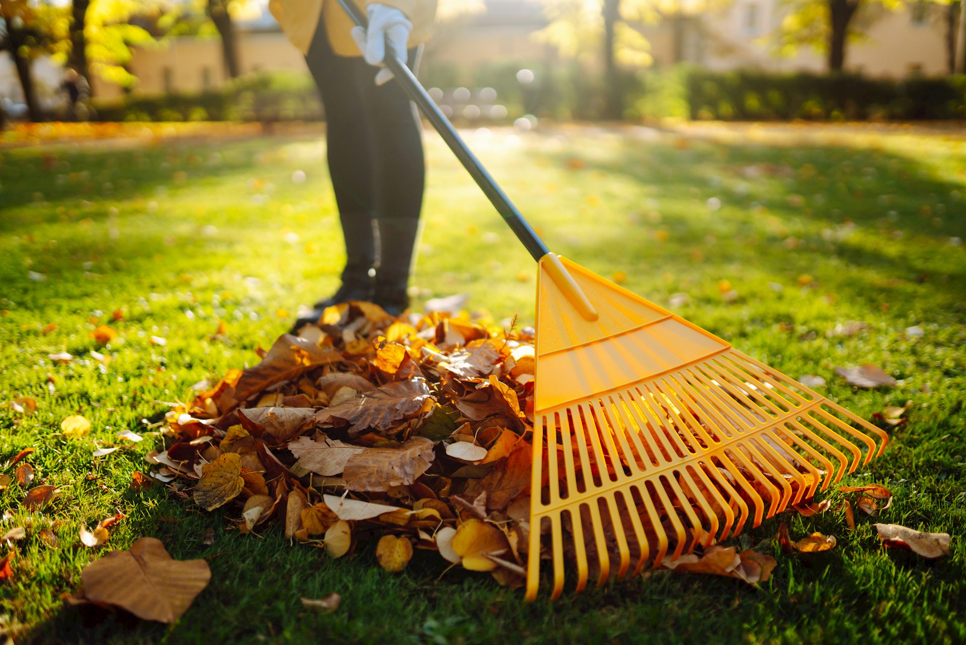 Autumn safety tips for outdoor chores - WellSpan Health
